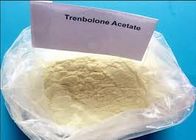 Bột Trenbolone Acetate Finaplix H Revalor H Ananbolic Steroid Hormone CAS 10161-34-9