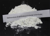 Muscle Gains Legal Anabolic Steroids Methenolone Enanthate USP Tiêu chuẩn 303-42-4