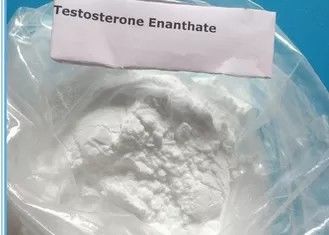 Bột đồng hóa steroid 99% Testosterone Enanthate Powder được sử dụng để xây dựng cơ bắp 315-37-7